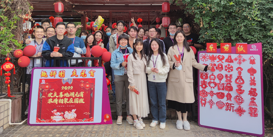 国微|微电子|芯片