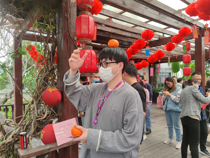 国微|微电子|芯片