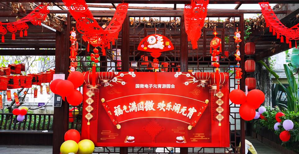 国微|微电子|芯片