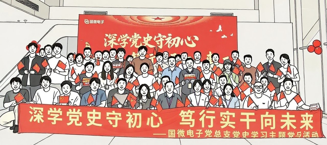 国微|微电子|芯片