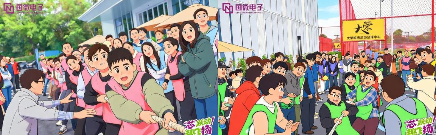 国微|微电子|芯片