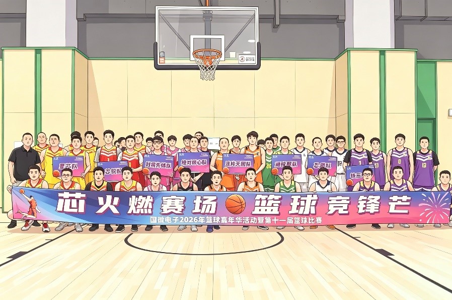 国微|微电子|芯片