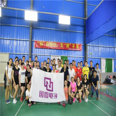 “羽”你同行，无“微”不至——国微电子首届羽毛球赛圆满收官