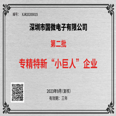 2023年9月，国微电子被工业和信息化部中小企业局再次认定为国家级专精特新重点“小巨人”企业