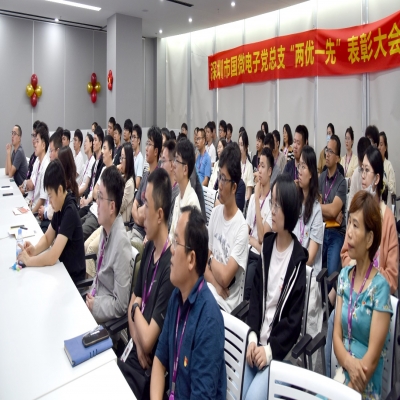同“芯”向党，榜样领航——国微电子党总支“两优一先”表彰大会