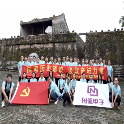 探索历史遗迹，汲取奋进力量——国微电子党总支大鹏红色主题教育活动
