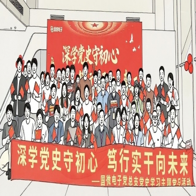 深学党史守初心 笃行实干向未来——国微电子党总支“两优一先”表彰大会暨党史学习主题党日活动
